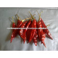 s4 dry red chilli manufacturer